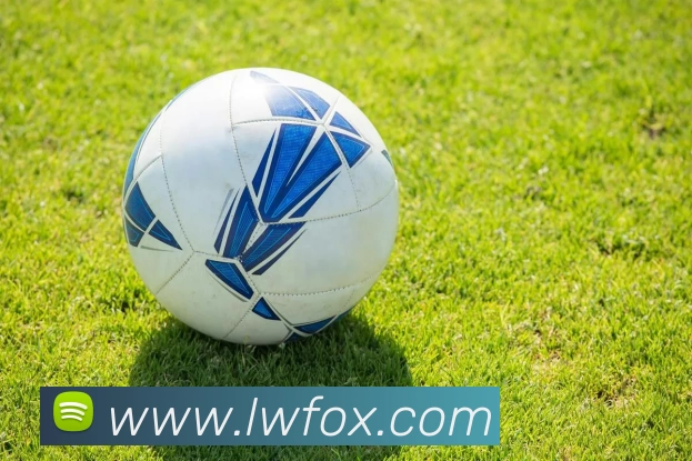 熊猫(官方网站)中国体育直播·科技有限公司品牌故事