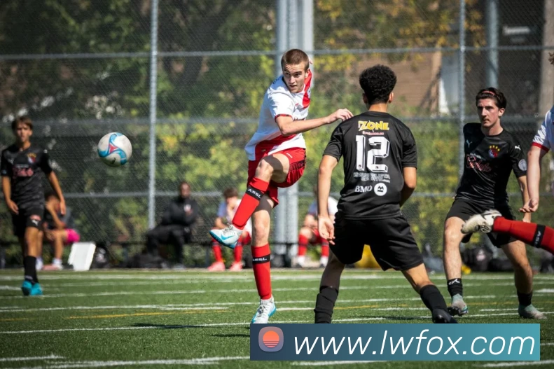 熊猫(官方网站)中国体育直播·科技有限公司服务体系